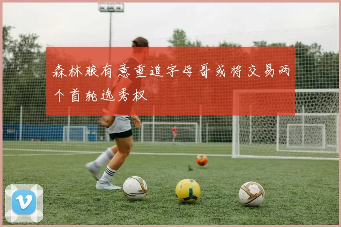 森林狼有意重追字母哥或将交易两个首轮选秀权