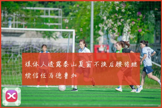 媒体人透露泰山夏窗不换后腰将继续信任马德鲁加